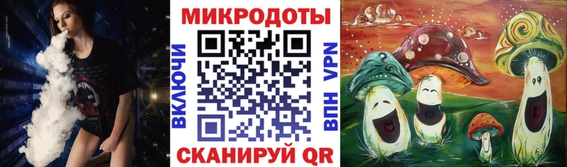 Псилоцибиновые грибы Psilocybine cubensis  Севск 